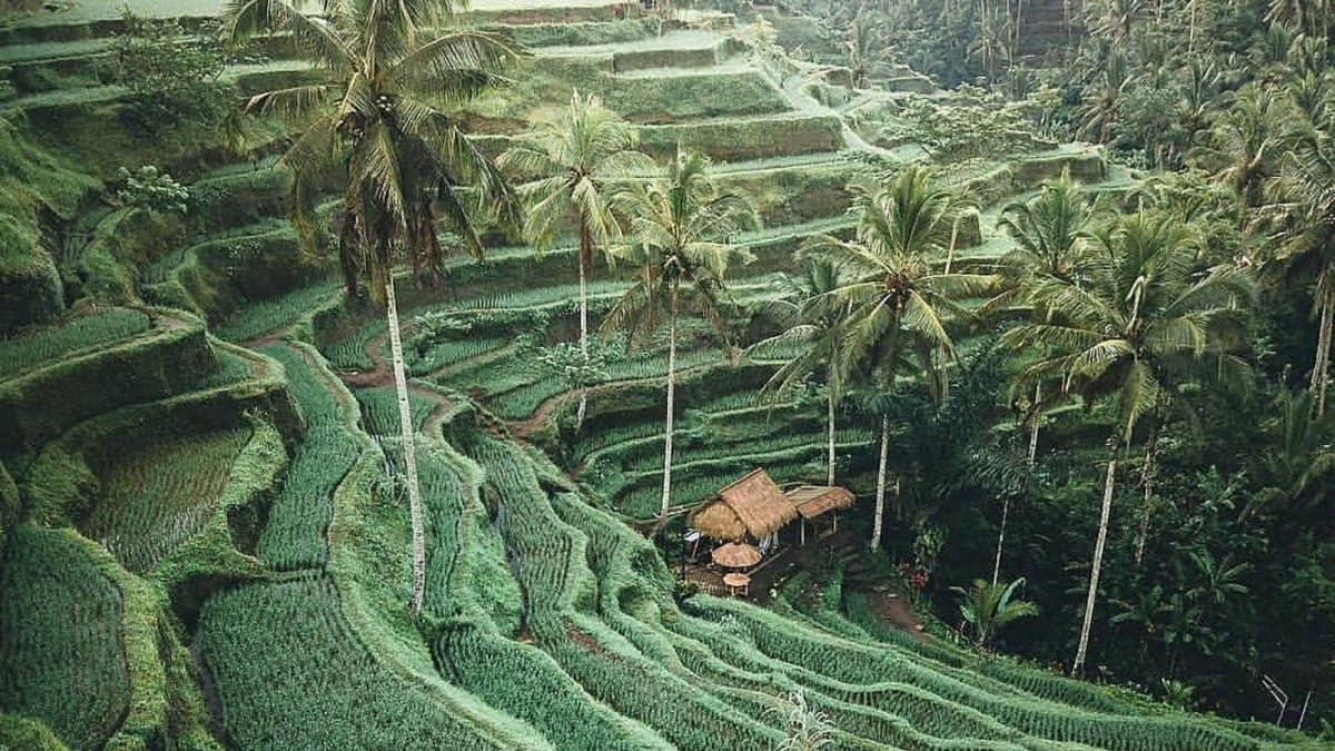 BALI