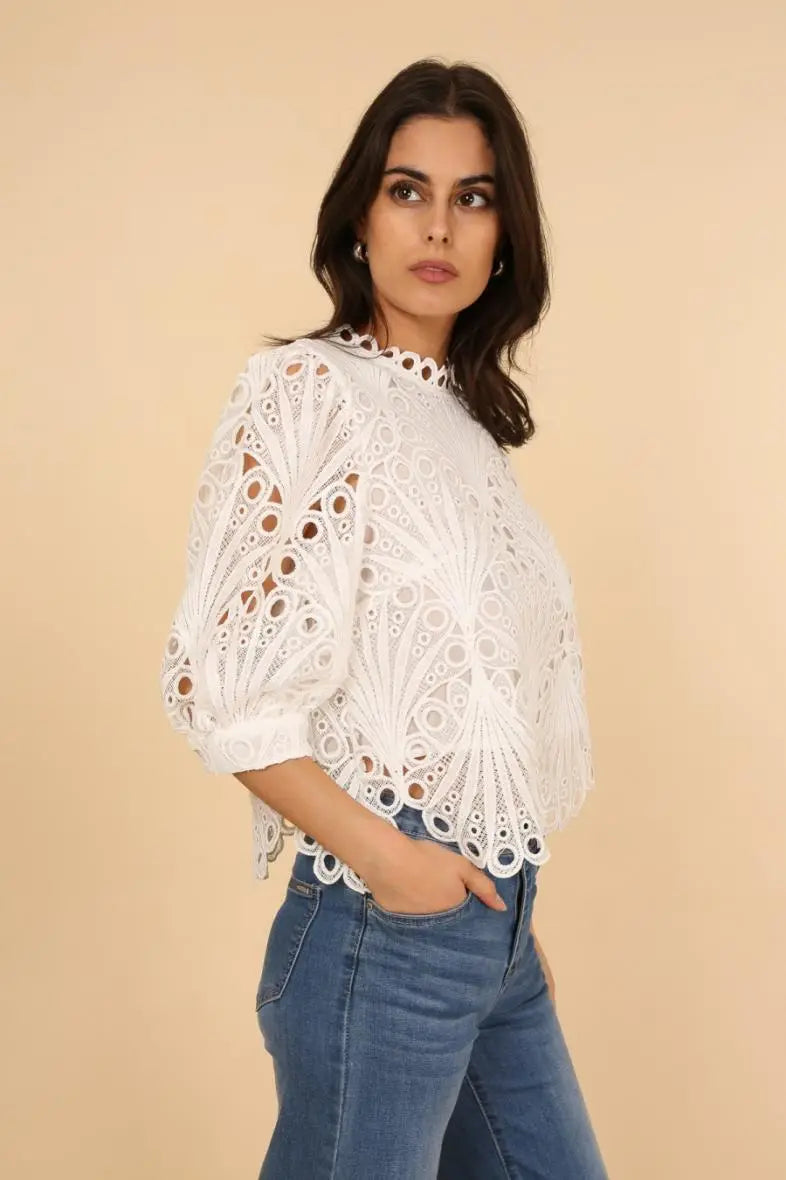 openwork elegant blouse for women