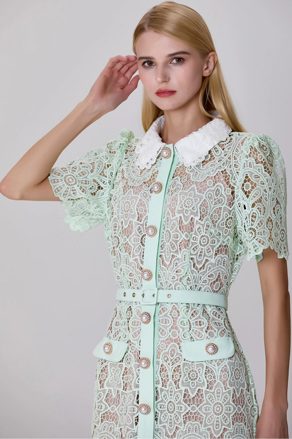 elegant light green lace dress with button-down front and belt